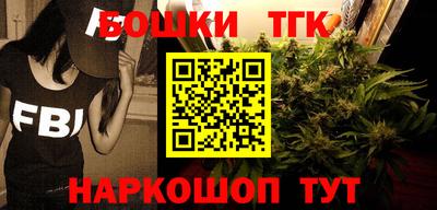 молекула духа Камышлов