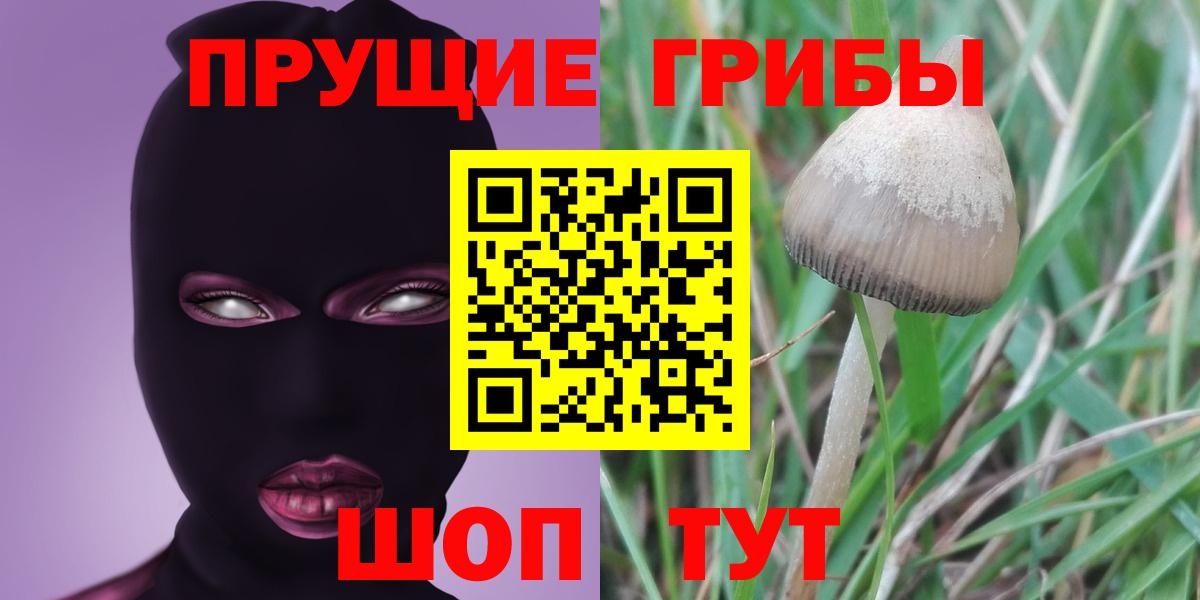 Галлюциногенные грибы мухоморы Красноуфимск