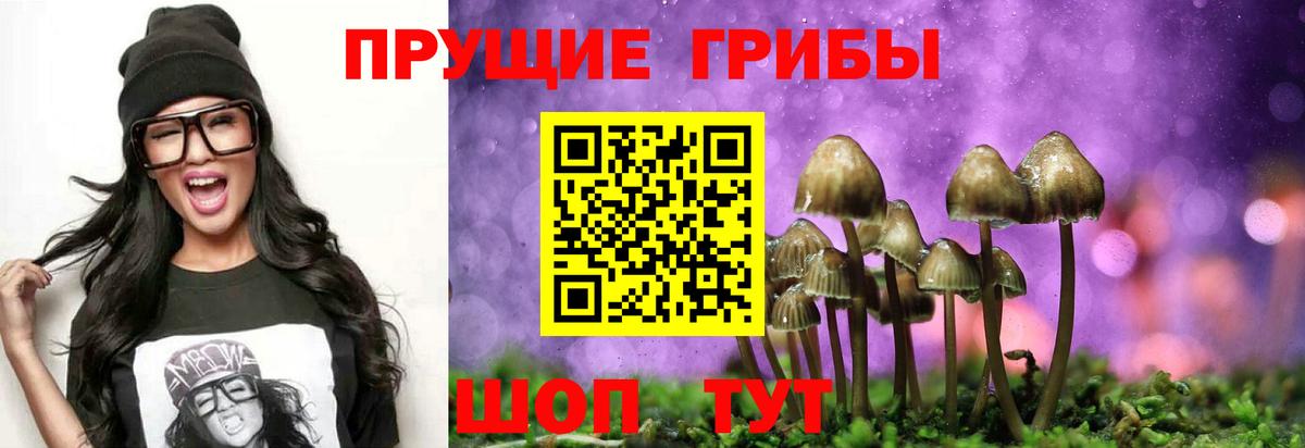 Галлюциногенные грибы MAGIC MUSHROOMS  Вход с VPN  Красноуфимск 